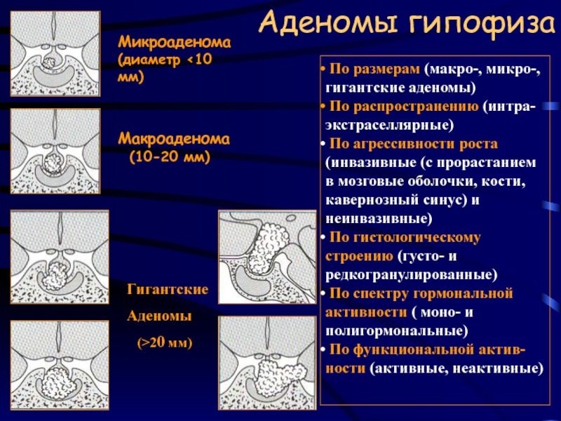 Оболочки кости