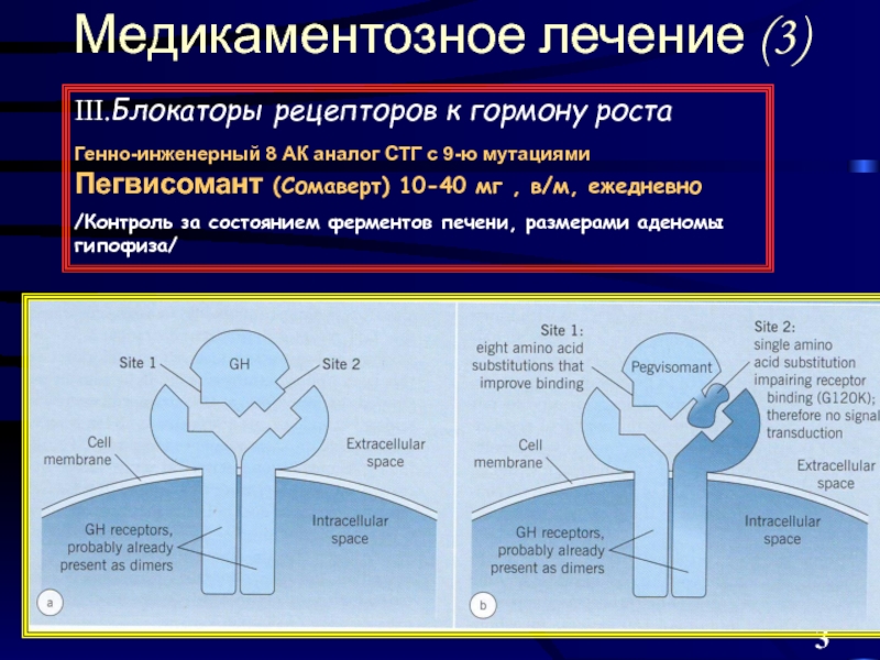 Размер аденомы