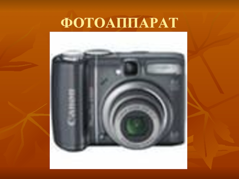 Вокруг света с фотоаппаратом презентация 2 класс окружающий мир плешаков