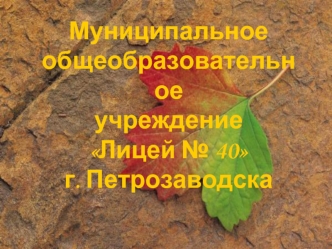 Муниципальное общеобразовательное 
учреждение
Лицей № 40
г. Петрозаводска