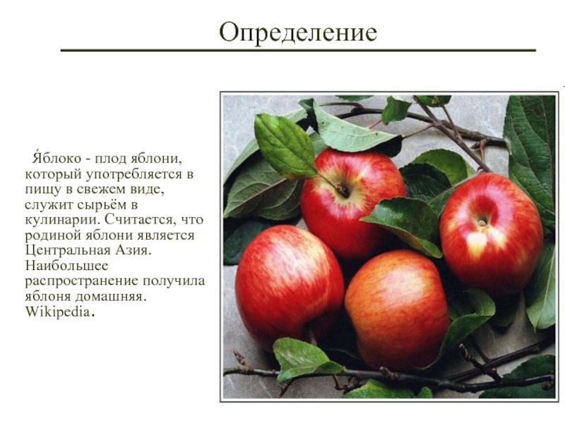 Какую функцию выполняет плод яблони. Способ распространения плодов яблони. Способ распространения семян яблока. Плод яблони. Плод яблоко.