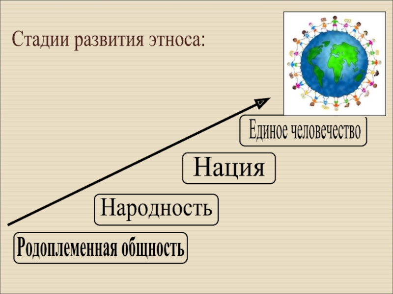 Стадии развития этноса