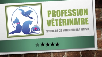 Profession vétérinaire