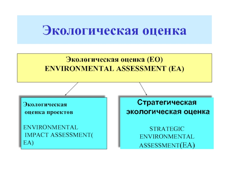 Оценка экологических изменений