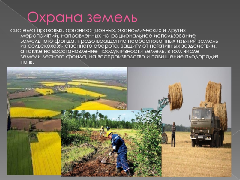 Реферат: Правовая охрана земли в сельском хозяйстве