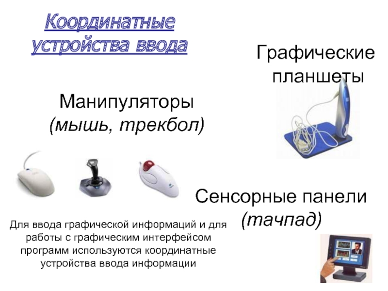 К устройствам ввода графической информации относится. Координатные устройства ввода информации. Перечислите координатные устройства. Устройства для работы с графической информацией. К координатным устройствам ввода информации относится:.