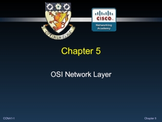 OSI Network Layer