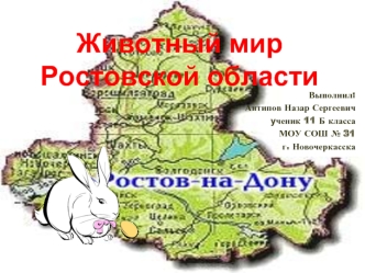 Животный мир Ростовской области