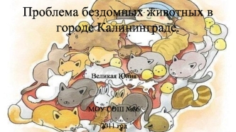 Проблема бездомных животных в городе Калининграде.