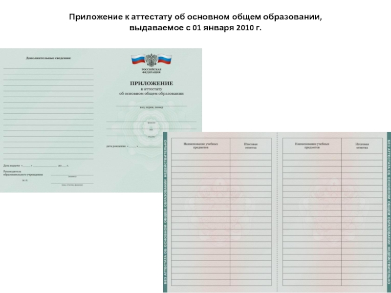 Аттестат об общем образовании 2023. Приложение к аттестату. Приложение к аттестату об основном общем. Приложение к аттестату об основном образовании. Приложение аттестата 11 класс.