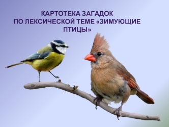 Картотека загадок по лексической теме Зимующие птицы