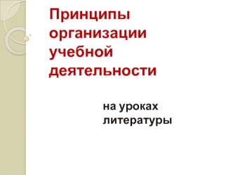 Принципы организации учебной деятельности на уроках литературы