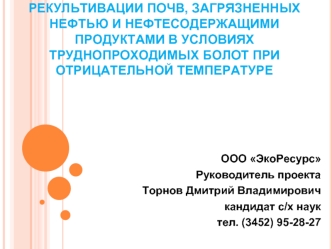 Способ биологической рекультивации почв, загрязненных нефтью и нефтесодержащими продуктами в условиях труднопроходимых болот при отрицательной температуре