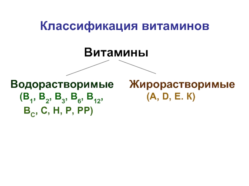 Классификация витаминов картинка