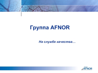 Группа AFNOR			На службе качества…