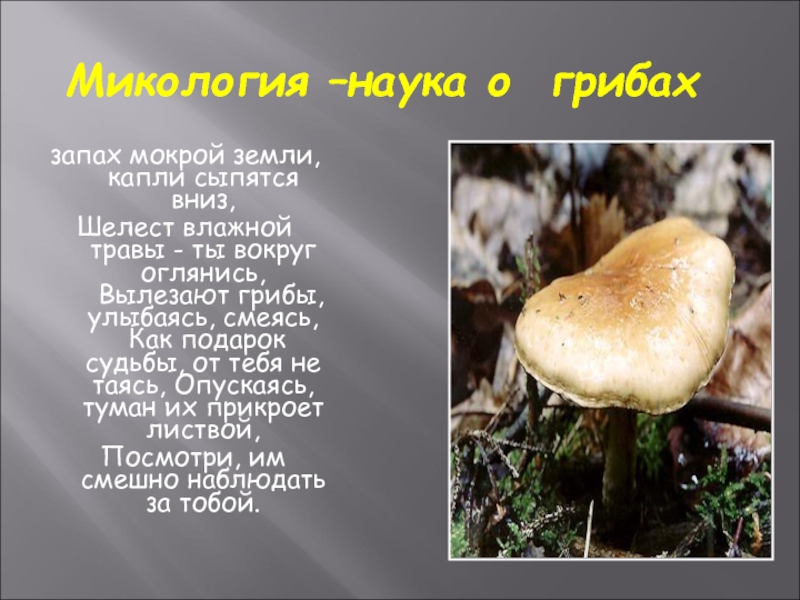 Науку о грибах называют. Микология наука о грибах. Грибы микология. Название науки о грибах. Наука о грибах кратко.