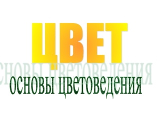 ЦВЕТ