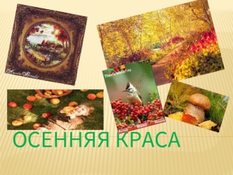 Осенняя краса