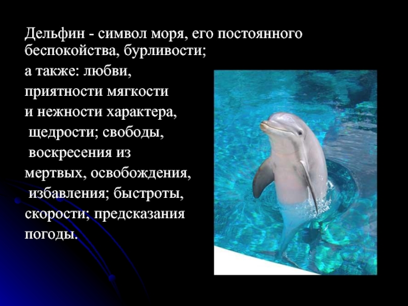 Дельфин я люблю текст. Что символизирует Дельфин. Дельфин символ. Дельфин символ чего. Символ любви дельфины.