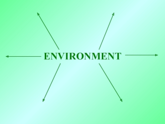 ENVIRONMENT