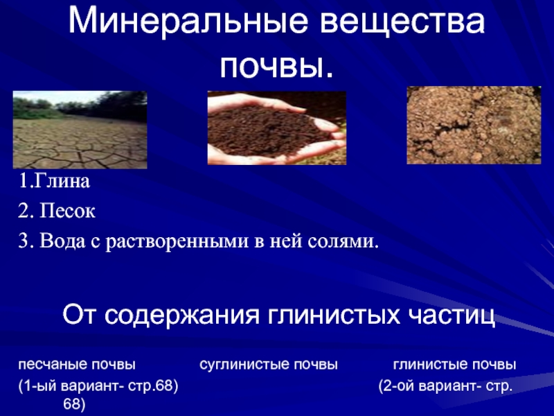 Почва это какое вещество. Минеральные вещества в почве. Почва песок глина. Минеральные соединения почвы. Растворимые Минеральные вещества в почве 3.