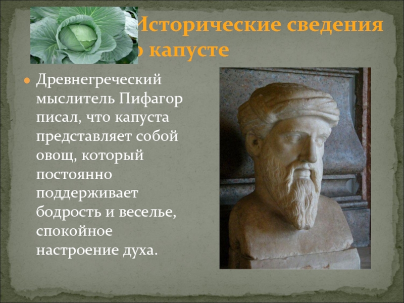Древнегреческому философу пифагору принадлежит следующее высказывание. Древнегреческий философ Пифагор. Капуста в древней Греции. Пифагор говорил о капусте.