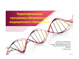 Территориальная программа обязательного медицинского страхования