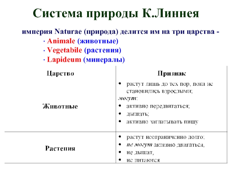 Работа система природы. Система живой природы Карла Линнея. Система органической природы к Линнея. Система Царств Линнея. Система органической природы Карла Линнея.