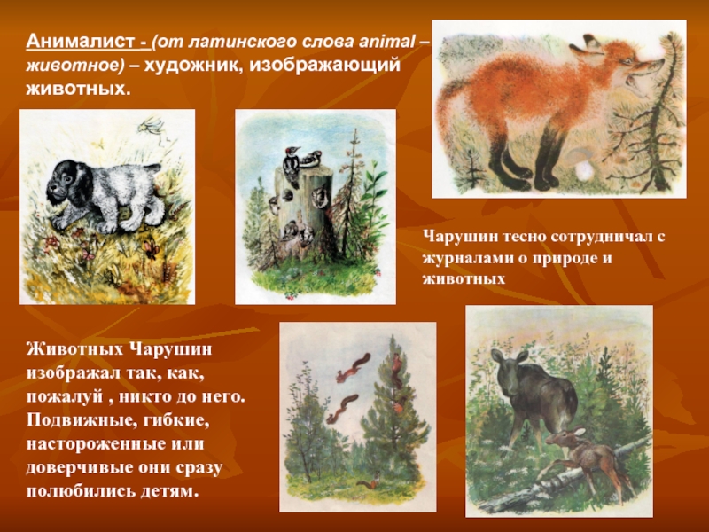 Анималист - (от латинского слова animal – животное) – художник, изображающий животных.