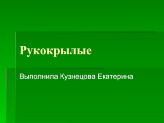 Рукокрылые