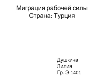 Миграция рабочей силы. Страна: Турция