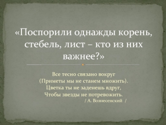 Поспорили однажды корень, стебель, лист – кто из них важнее?