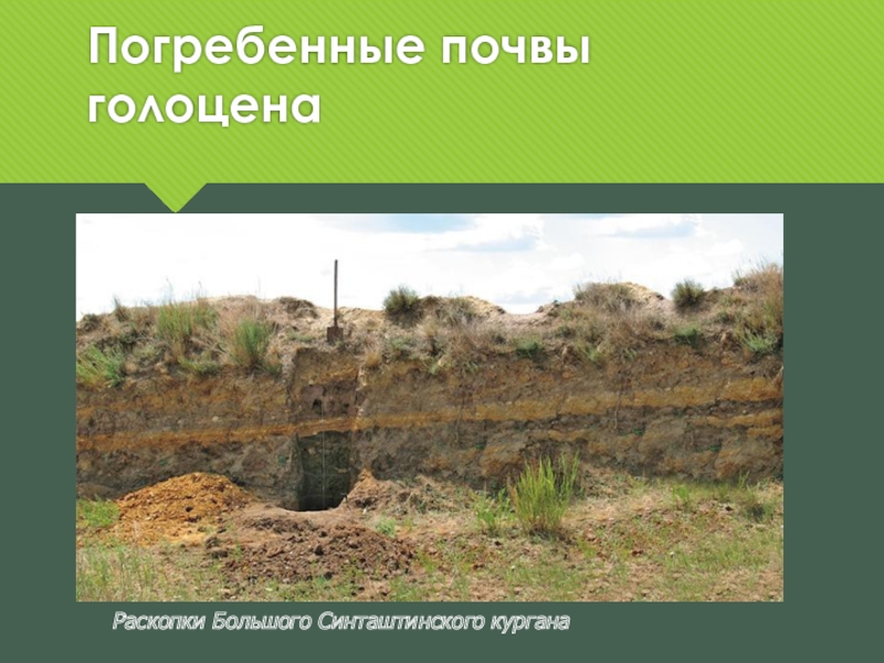 Погребенные почвы голоцена Раскопки Большого Синташтинского кургана
