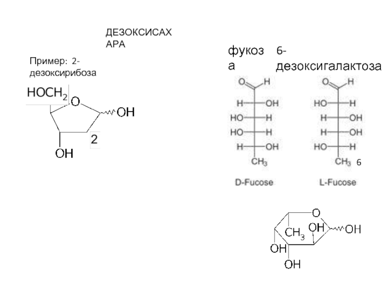 Оптические изомеры дезоксирибозы. Дезоксирибоза и медь. Дезоксирибоза класс органических соединений. Фукоза формула структурная.