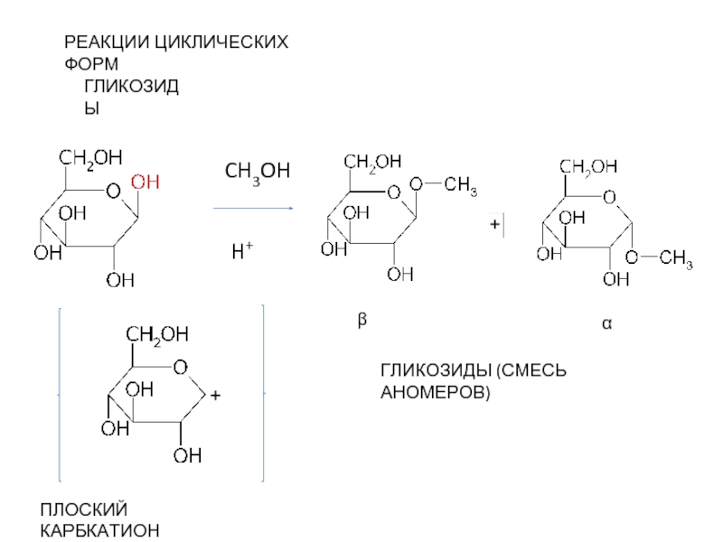 Происходят циклические реакции. Циклическая форма реакции. Реакция образования гликозидов. Образование n гликозидов. Качественные реакции на гликозиды.