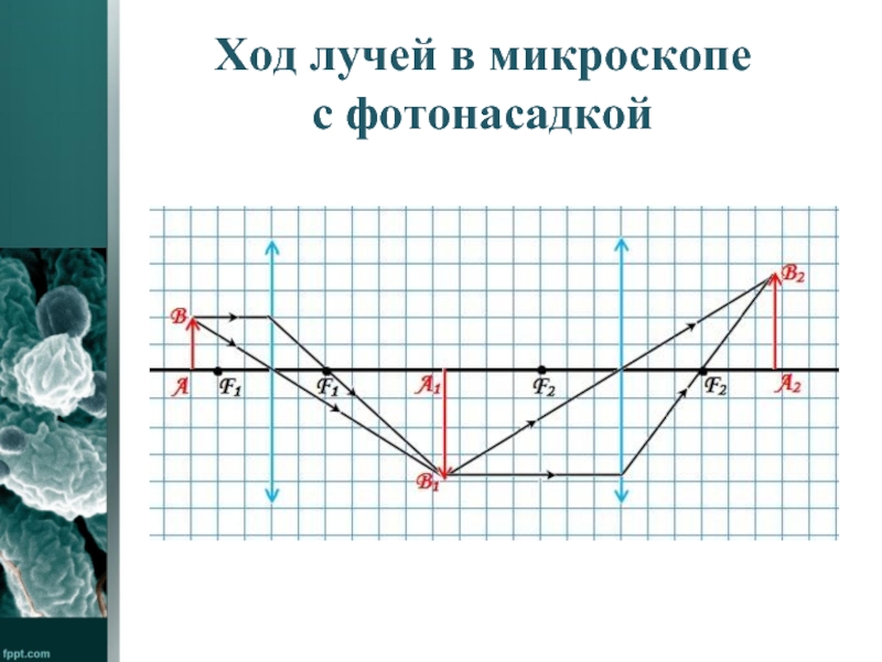 Как нарисовать ход лучей в микроскопе