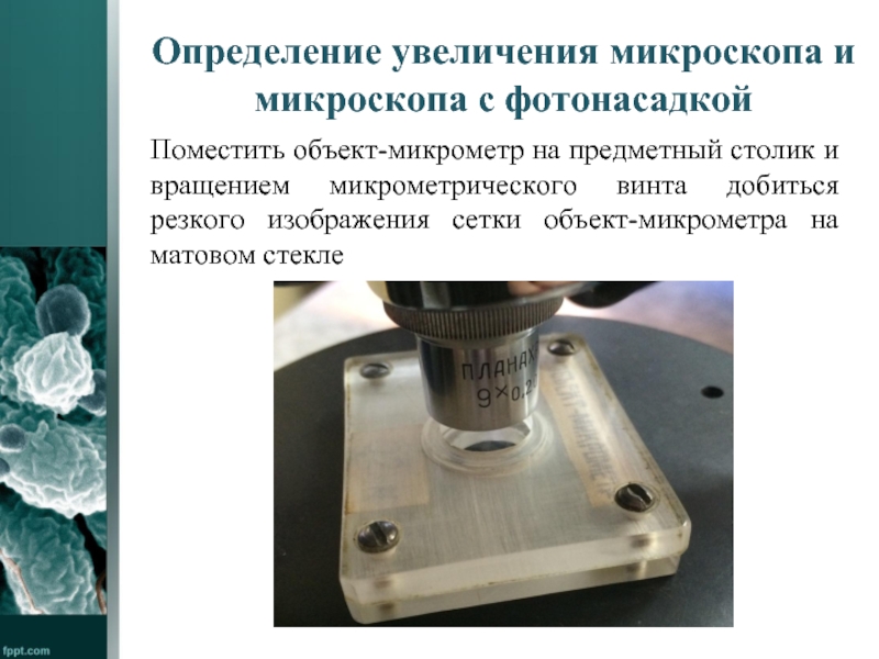 Получить объемное изображение исследуемого объекта можно с помощью микроскопа