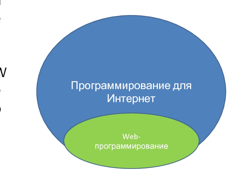 Презентация на тему web программирование