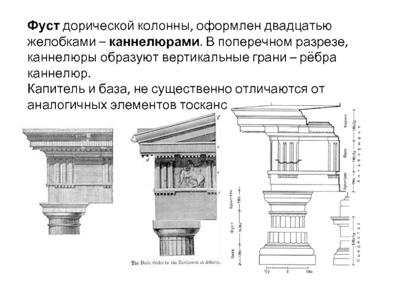 Данные ордера. Частями какого архитектурного элемента являются база Капитель Фуст. Капитель дорического ордера. Капитель дорического ордера построение. Дорический ионический Коринфский ордер в архитектуре.