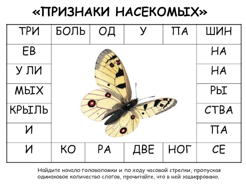 Признаки насекомых. Признаки насекомых 1 класс. Признаки насекомых 2 класс. Признаки насекомых 3 класс.