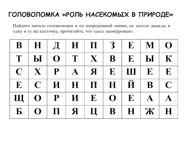 Найди начало. Найди начало головоломки. Головоломки для начинающих. Найди начало головоломки и по непрерывной линии. Головоломка роль насекомых в природе ответы.