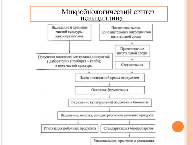 Технологическая схема производства пенициллина