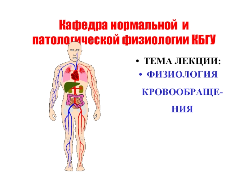 Нормальному кровообращению. Презентация на тему физиология кровообращения. Патофизиология кровообращения Голубева.