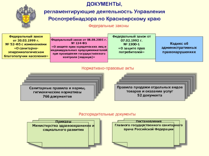 Документы регламентирующие деятельность