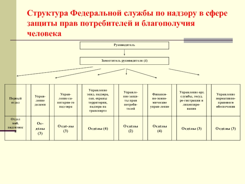 Надзору в сфере защиты благополучия