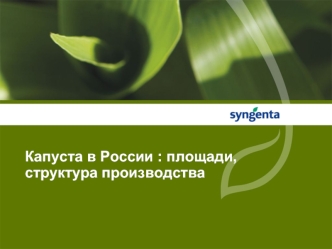 Капуста в России : площади, структура производства