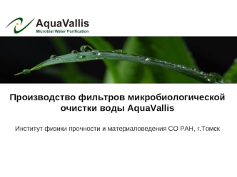 Производство фильтров микробиологической очистки воды AquaVallis  

Институт физики прочности и материаловедения СО РАН, г.Томск