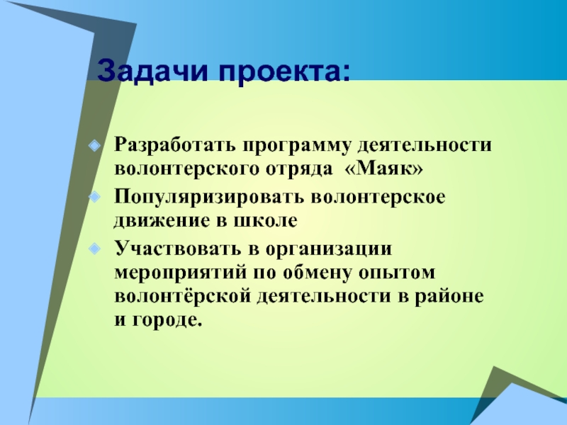 Реализация волонтерских проектов