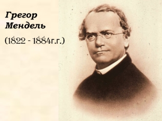 Грегор Мендель (1822 - 1884 г.г.)
