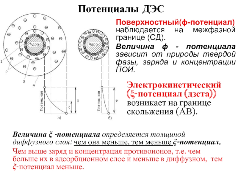 Поверхностный потенциал. ДЭС двойной электрический слой. Потенциалы ДЭС. Строение ДЭС. Строение коллоидной частицы.